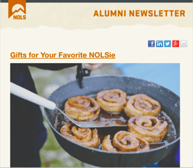 Alumni Newsletter preview