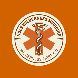 Wilderness First Aid Badge.png