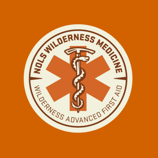 Wilderness Advanced First Aid Badge.png