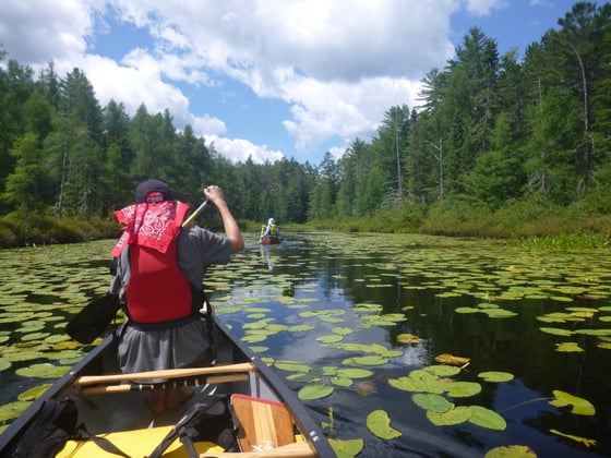 student wearing red life vest paddles a canoe through lake with lots of lily pads