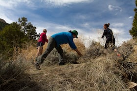 Three volunteers move tumbleweed in a NOLS Earth Day clean-up in Sinks Canyon State Park