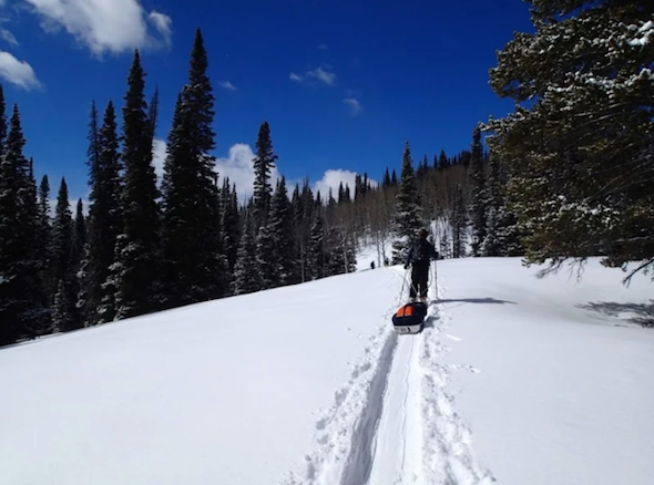 NOLS participant pulls sled uphill on backcountry skis during the winter section of a semester