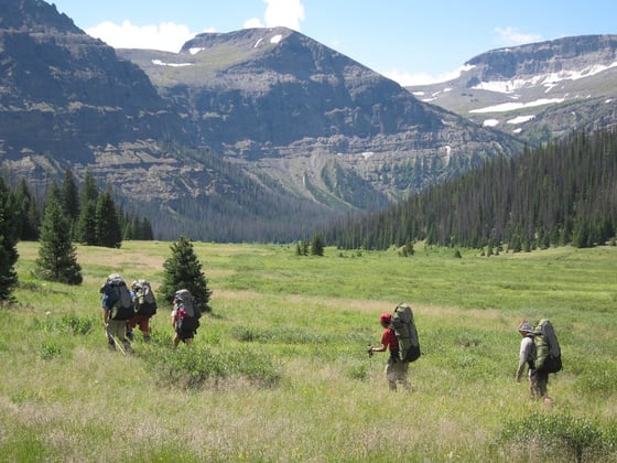 Five students wearing backpacks hike across a grassy meadow surrounded by pines and rocky peaks in the Absarokas