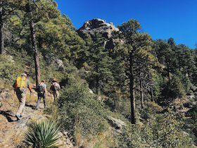 three NOLS participants backpack along a dirt trail bounded by trees in the Southwest