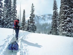 NOLS student backcountry skis uphill toward snow-laden trees in the Idaho mountains
