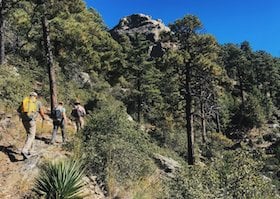 three backpackers hike on a tree-lined trail in the U.S. Southwest