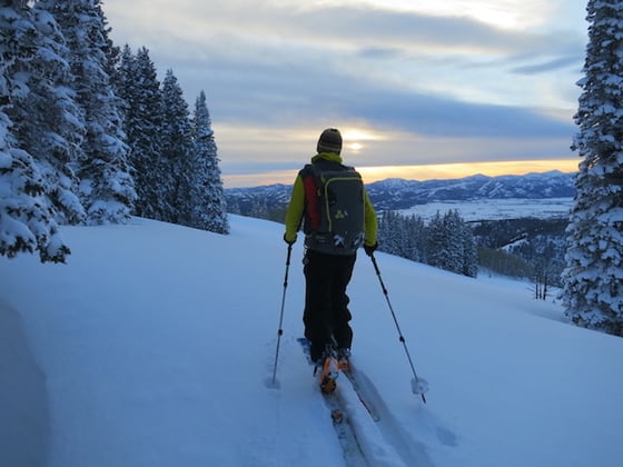 NOLS student backcountry skis past snowy pines at sunset