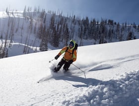 NOLS participant skis backcountry powder on a sunny day in the mountains