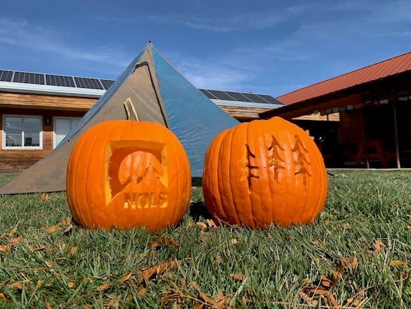 two pumpkins in the grass with NOLS logo and three trees