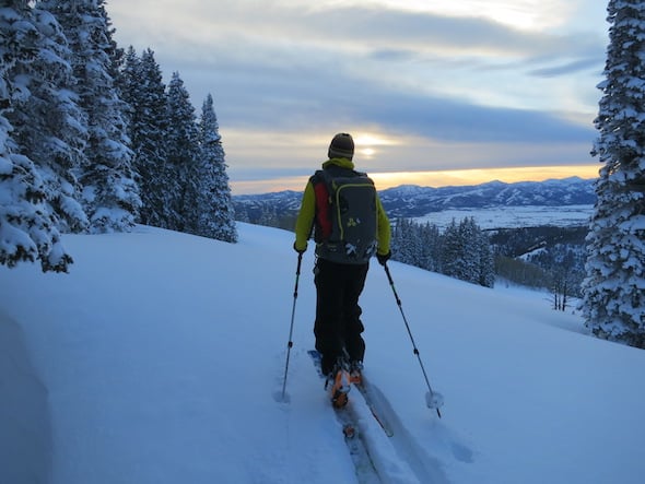 NOLS student backcountry skis uphill using skins at sunset near snowy pines