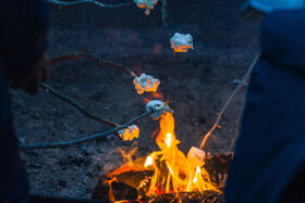 Marshmallows roasting over fire