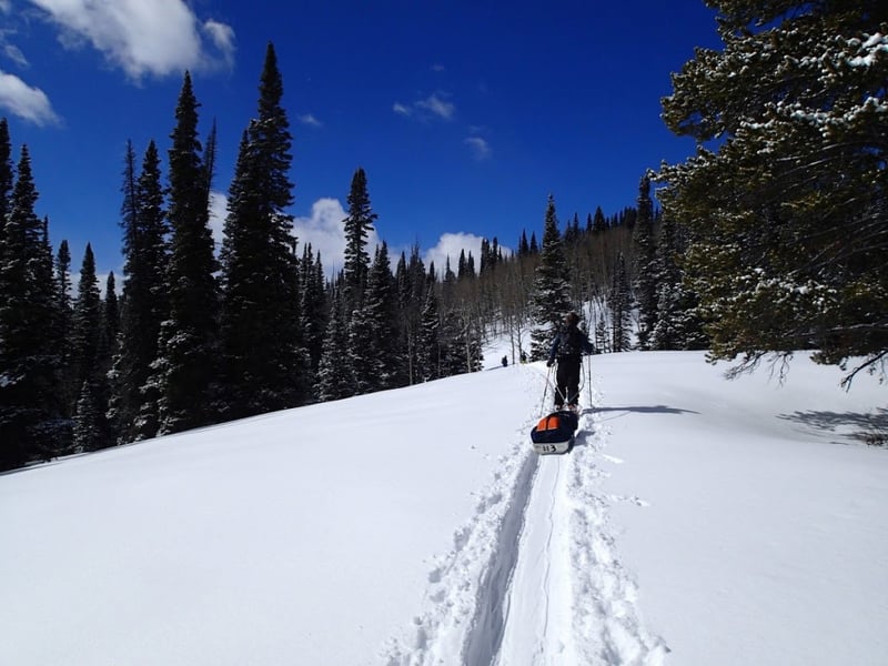 NOLS students haul sleds while backcountry skiing in the Rocky Mountains