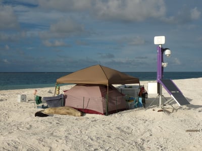 noaa-tent-solar-seal-beach