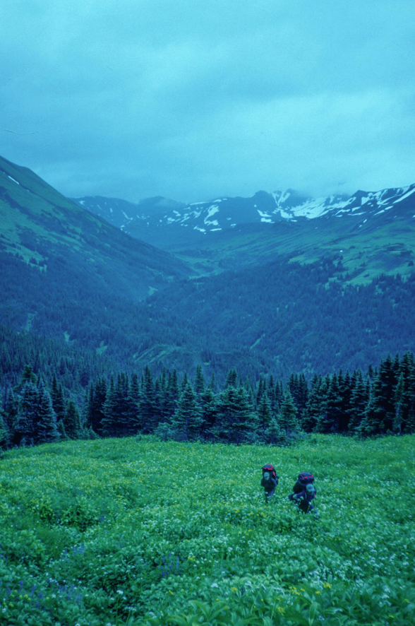 Two people hiking through an alpine field. It's foggy and gray out, with snowcapped mountains in the background.