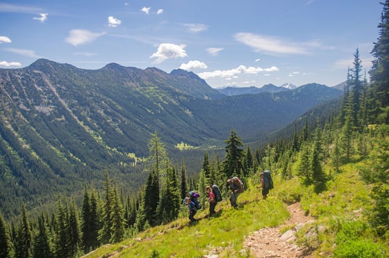 four NOLS students wearing backpacks hike down dirt trail on a green forested slope in the Pacific Northwest