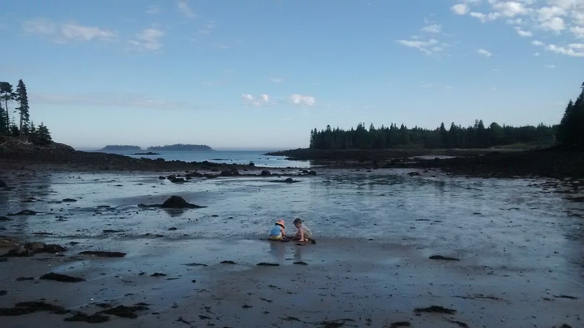 Two small children play together on the beach in Maine at low tide