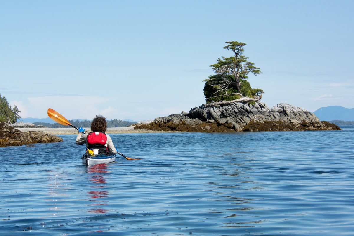  Sea kayaking with bonsai island in the background