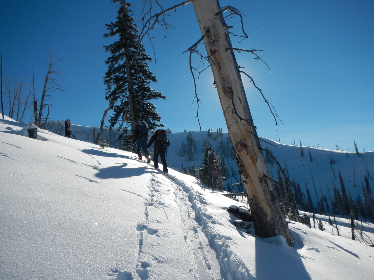 Skiers touring on a snowy trail