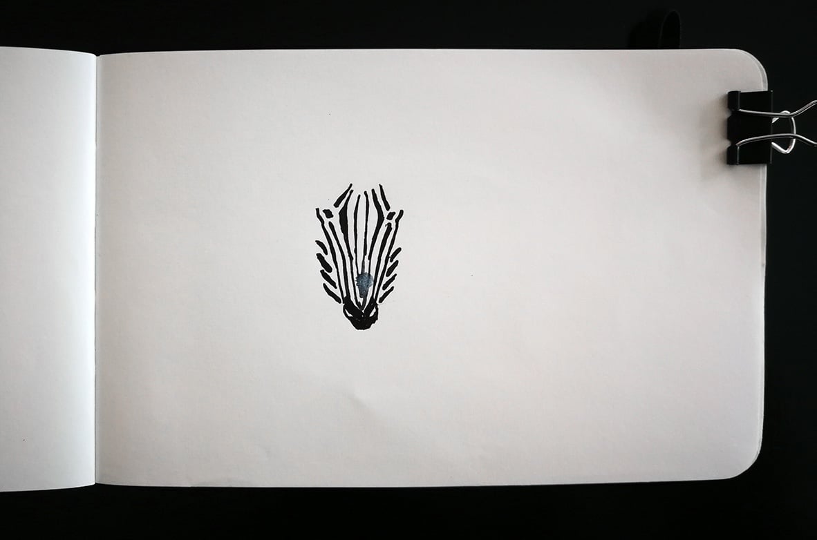 Attempt to draw a zebra at Simba Camp. Just begun drawing of a zebra face.