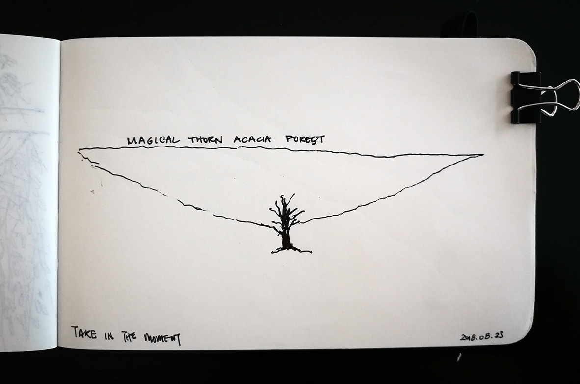 Thorn acacia forest sketched from memory