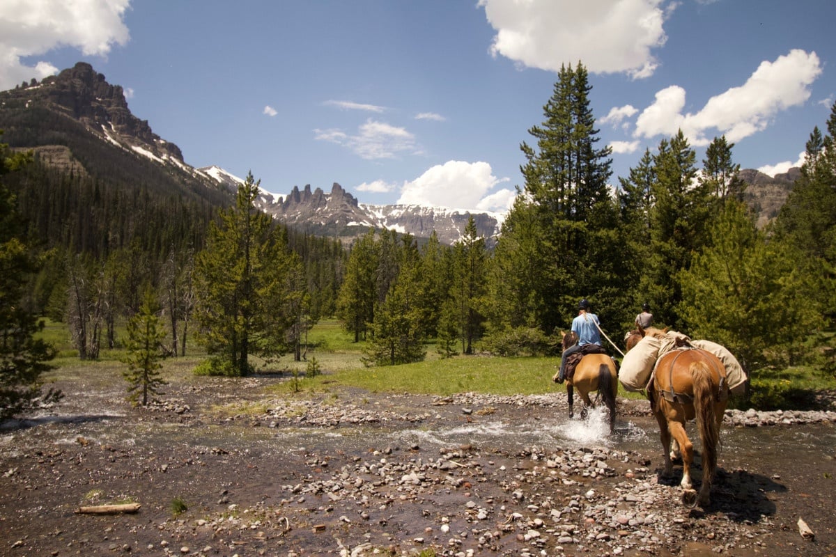 Meeting the Real Horses of NOLS Rocky Mountain: Wilderness Horsepacking