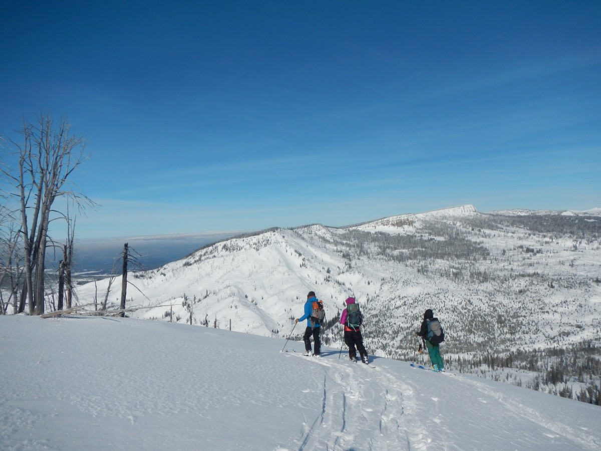 People backcountry skiing pause to look at the view