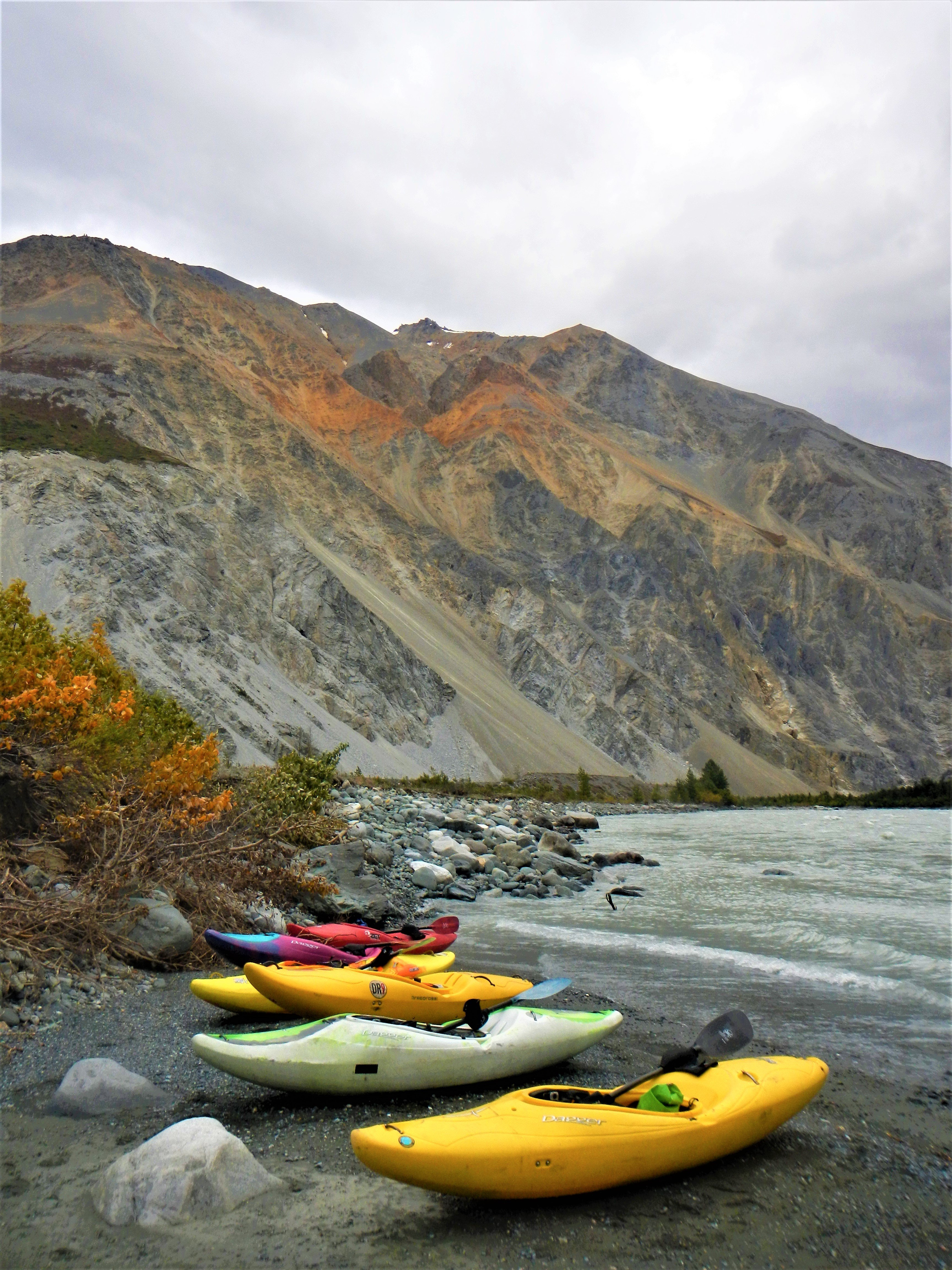 Five brightly colored kayaks on shore of the river