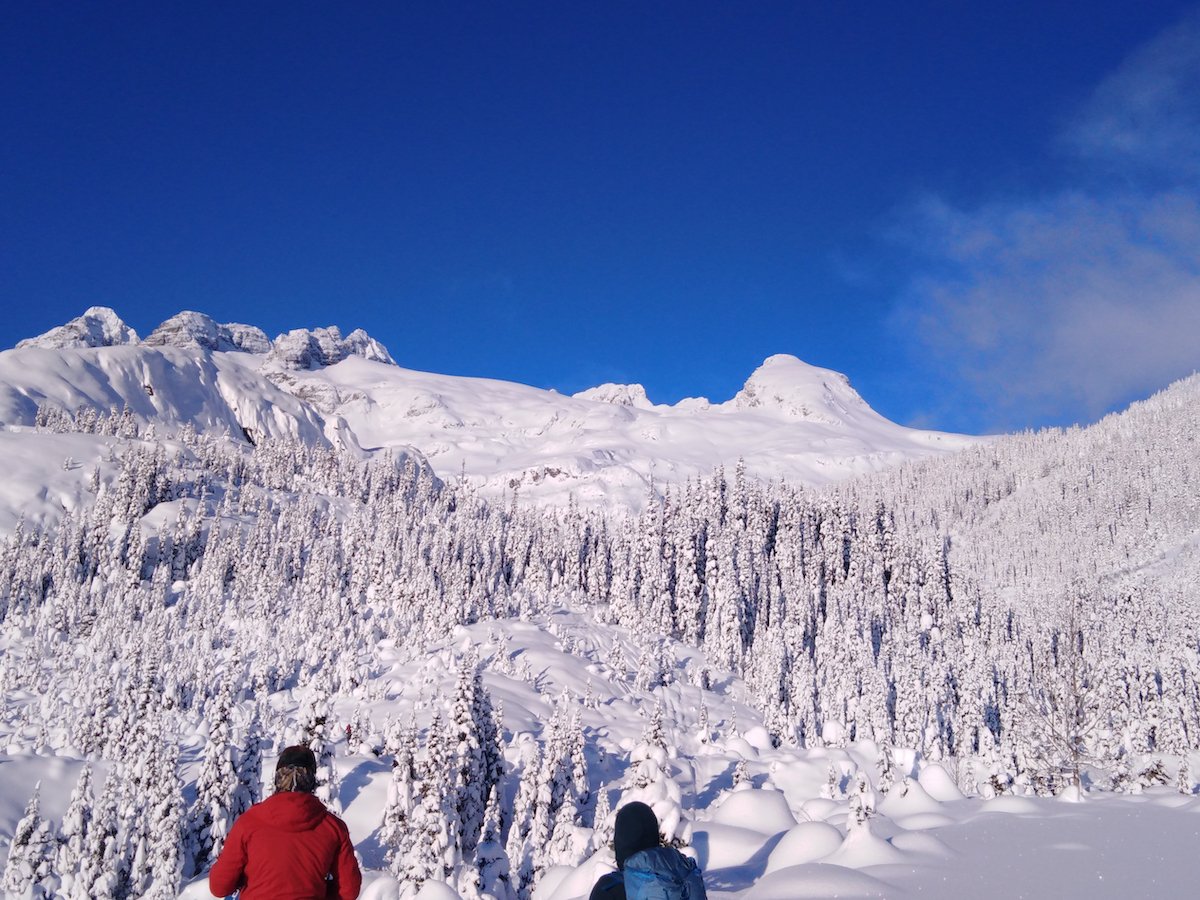 two backcountry skiers look out at a snow-covered trees and mountains on a sunny day