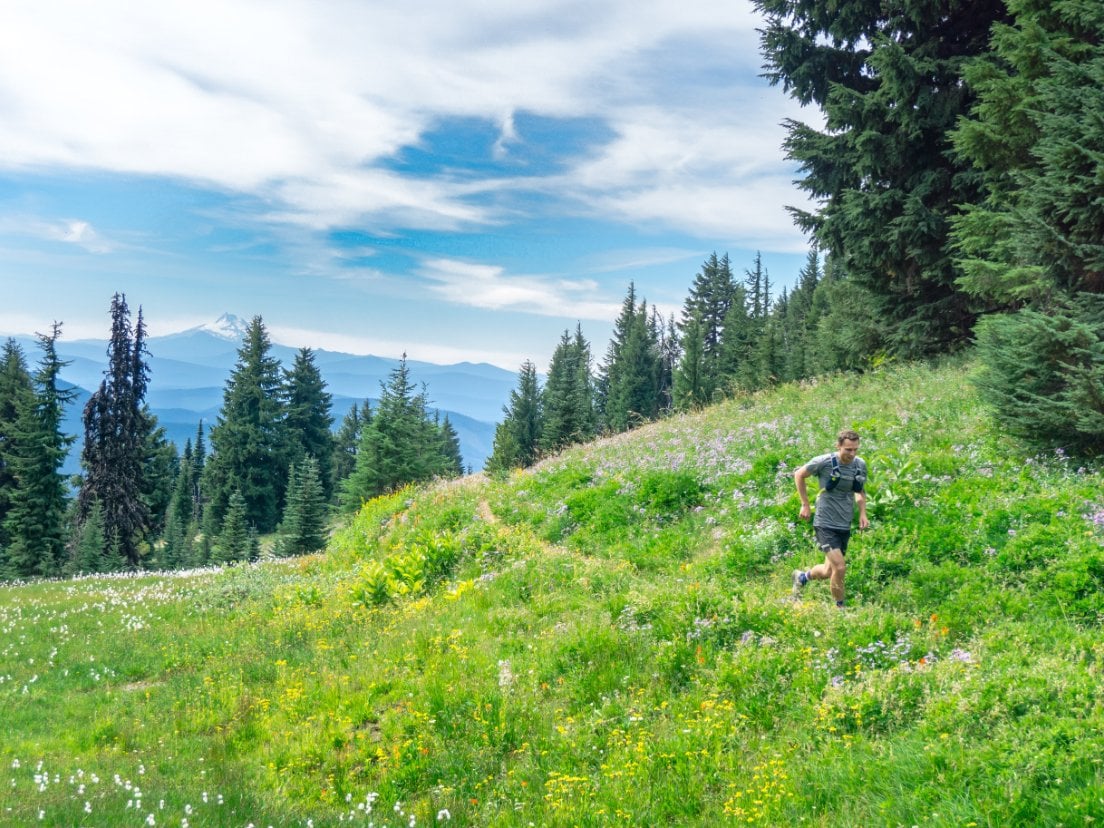 Runner goes through a grassy mountain meadow