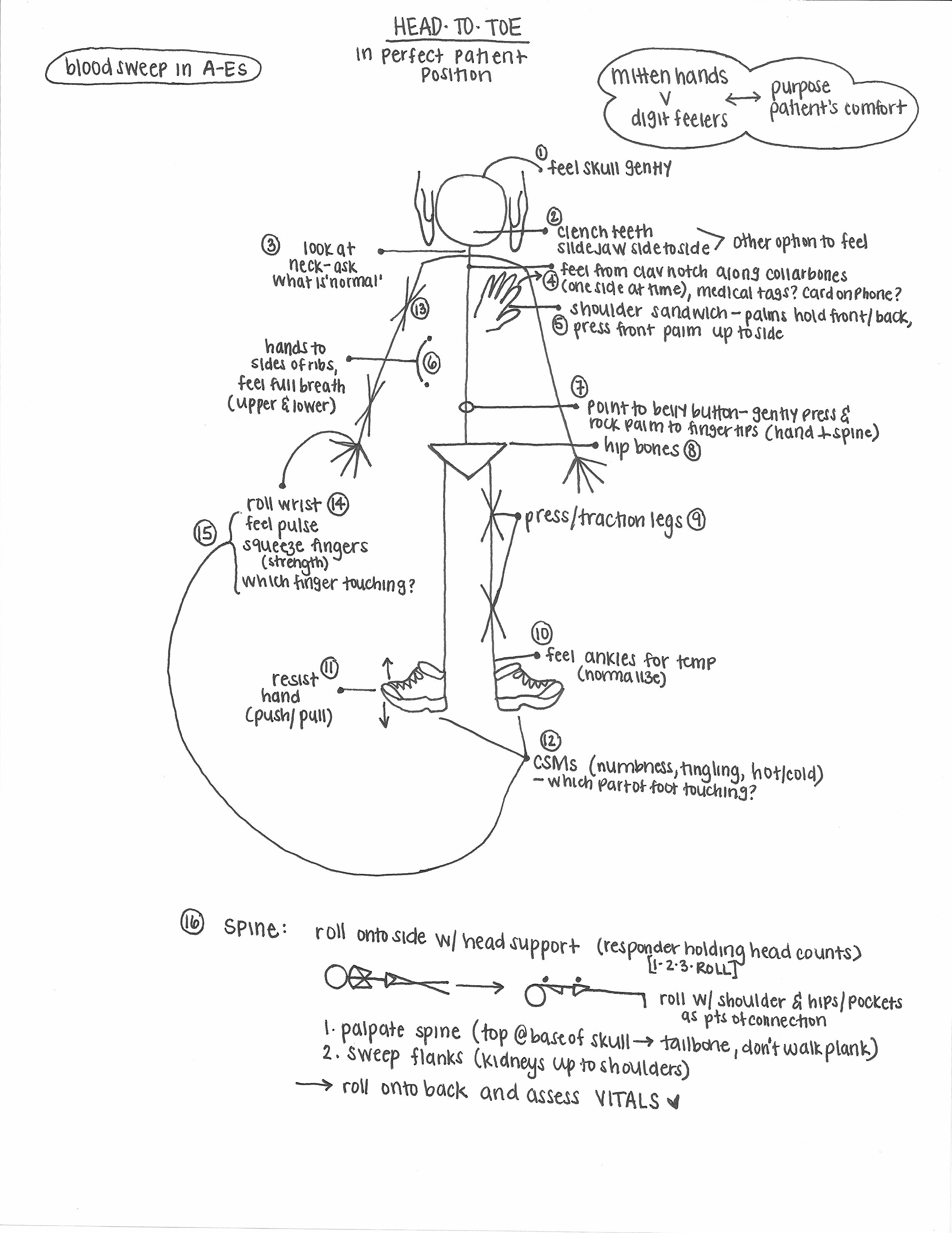 Numbered drawing of the head-to-toe exam with stick figure and notes