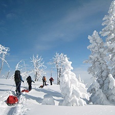 Ski_2.jpg