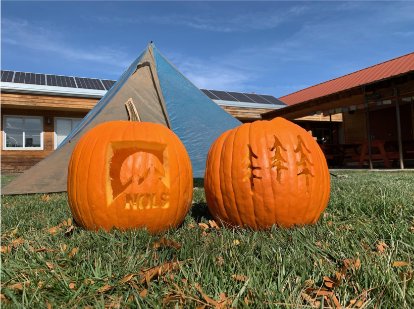 Carved pumpkins in front of a NOLS tent