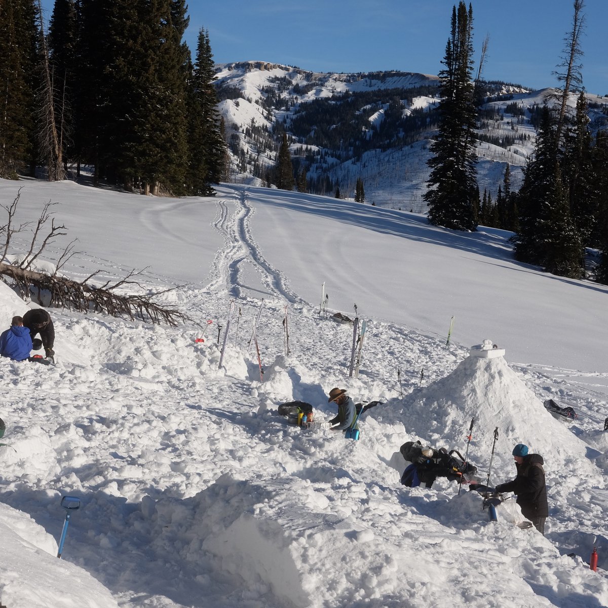 People building a snow shelter while backcountry touring