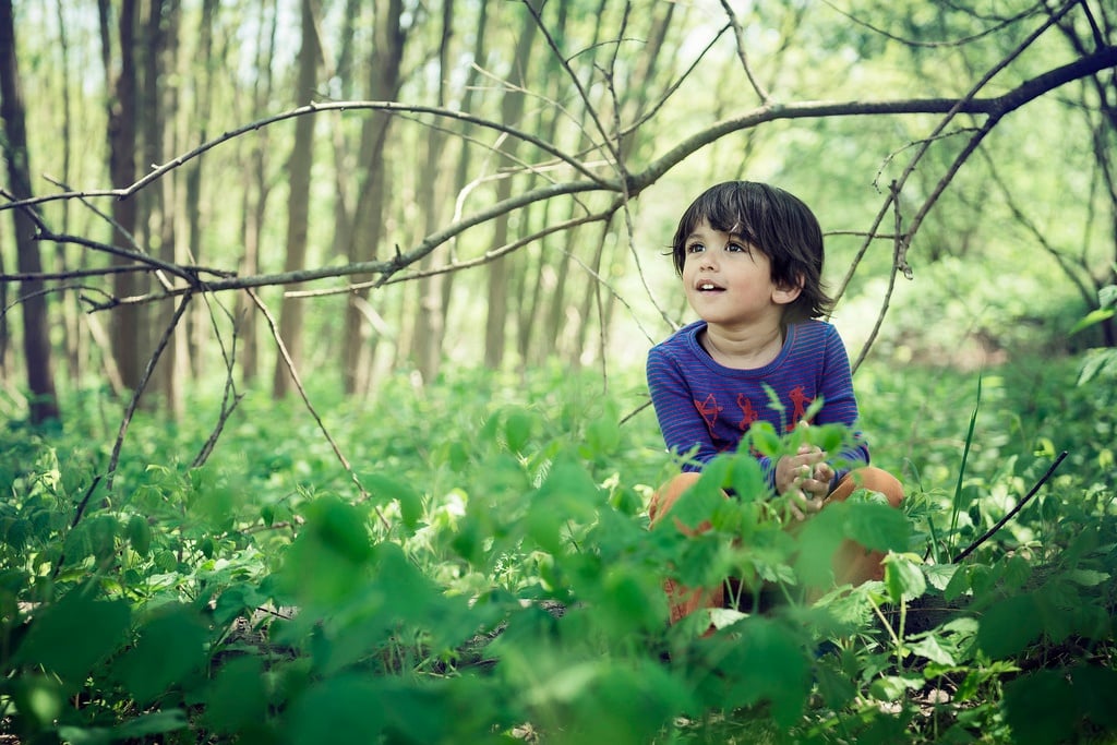 Kid in a forest looks amazed at a tree branch