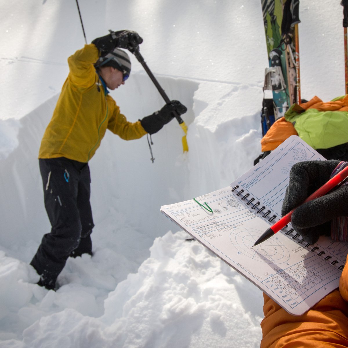 Digging a snow pit and taking notes during avalanche training